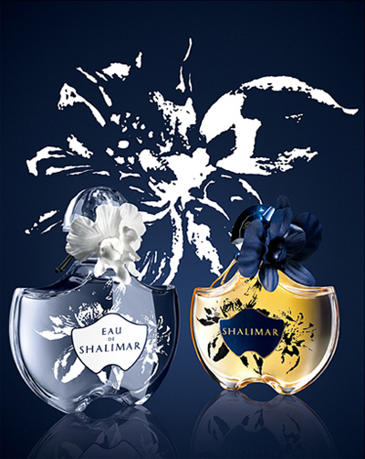 ��� ����� ������ ������� Shalimar