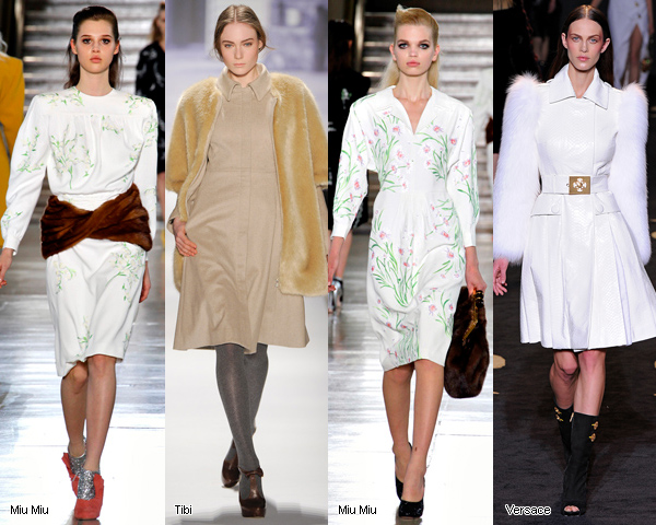 ������ ��������� �����-���� 2011/12