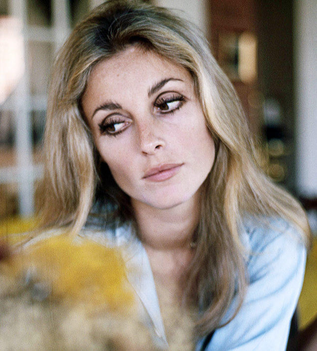 ��� ����� ����� ���� � ������ � ��� ���� �����