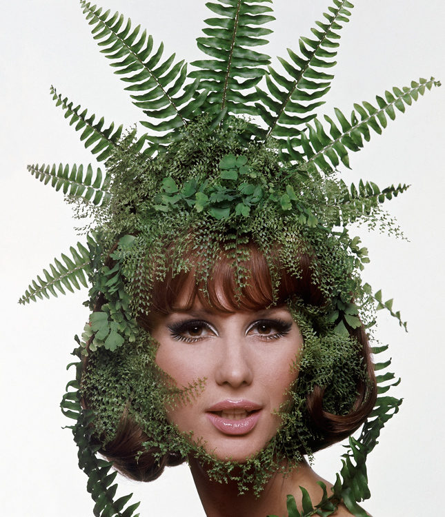 ��� �������� ����� ���������� ����