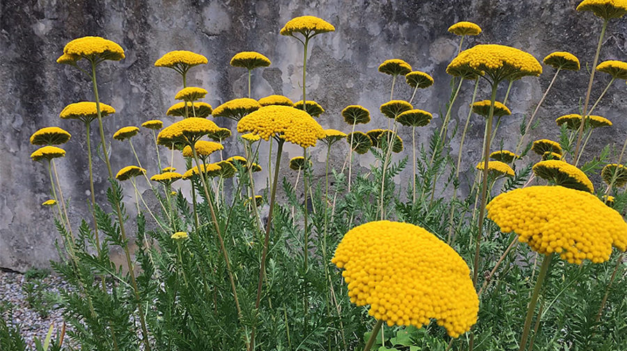 � ������� ��������� ������ ���� ������, ����������� ���-������ Max Mara ��� ������