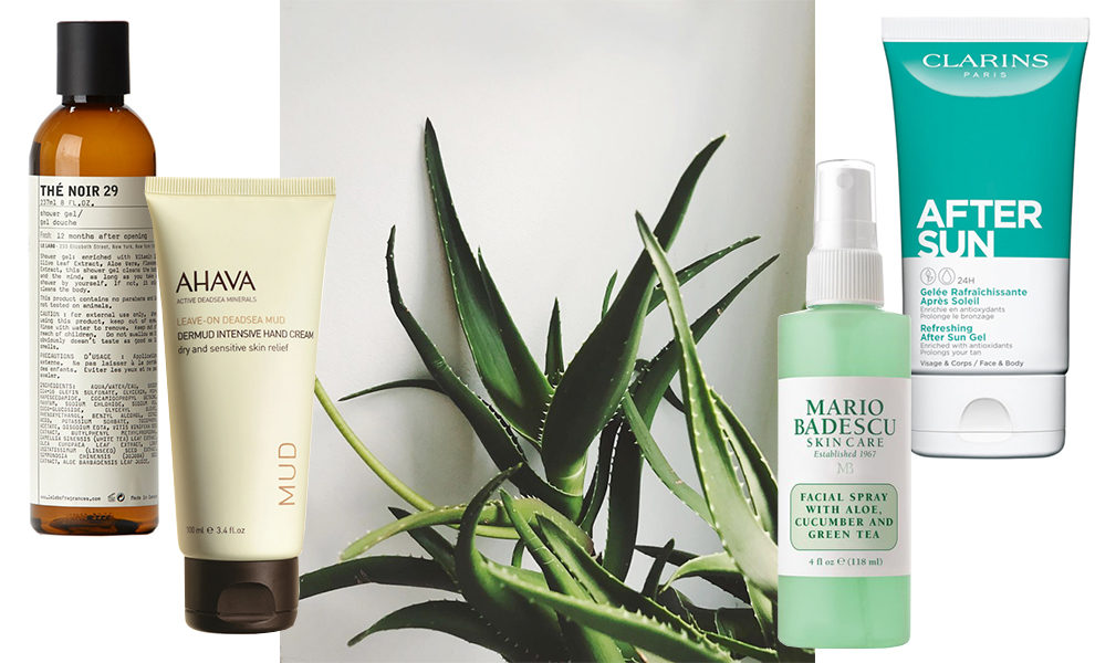 ������ ��� ������ ����� ��������� � ����