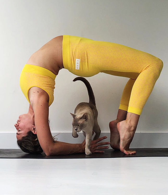 ��� ���������� ����� � ������