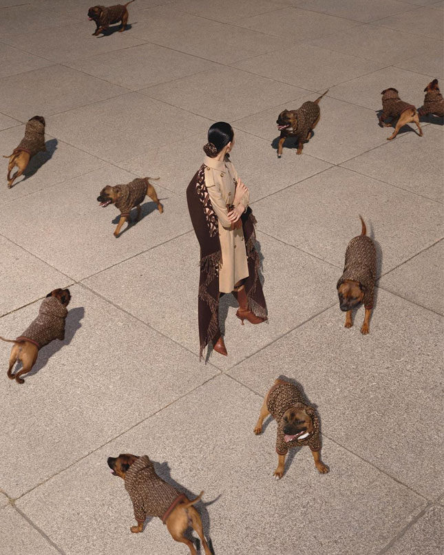 Burberry ������� ����� ������ ������� ��� �������