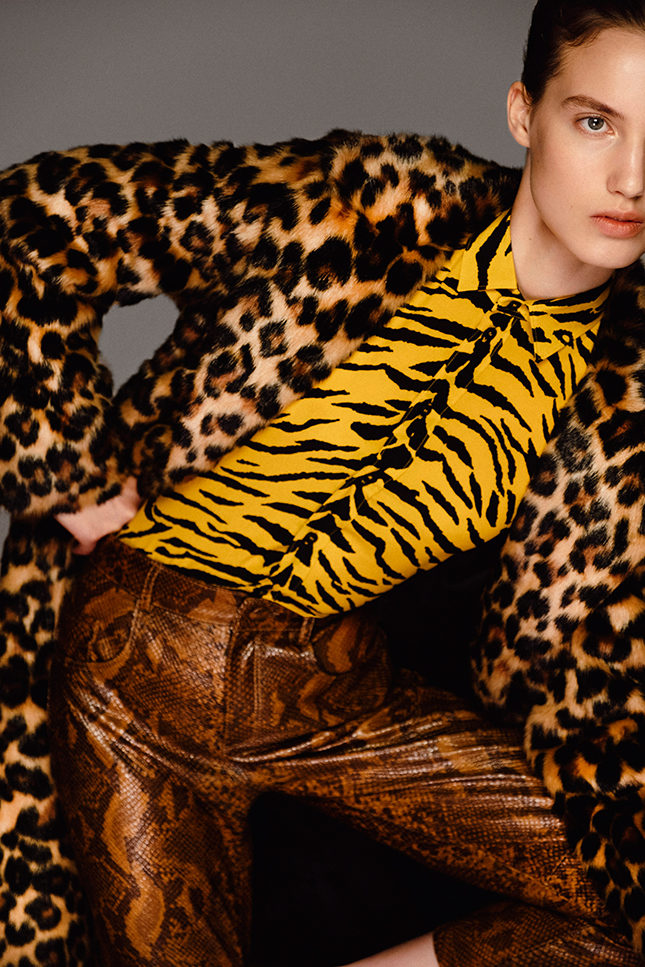 ��� ������ ������ ���� ������