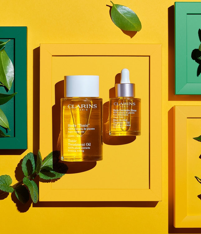 ������ ������-������� � ������� ������� �� �����-���������, �������� �������� � ���������������