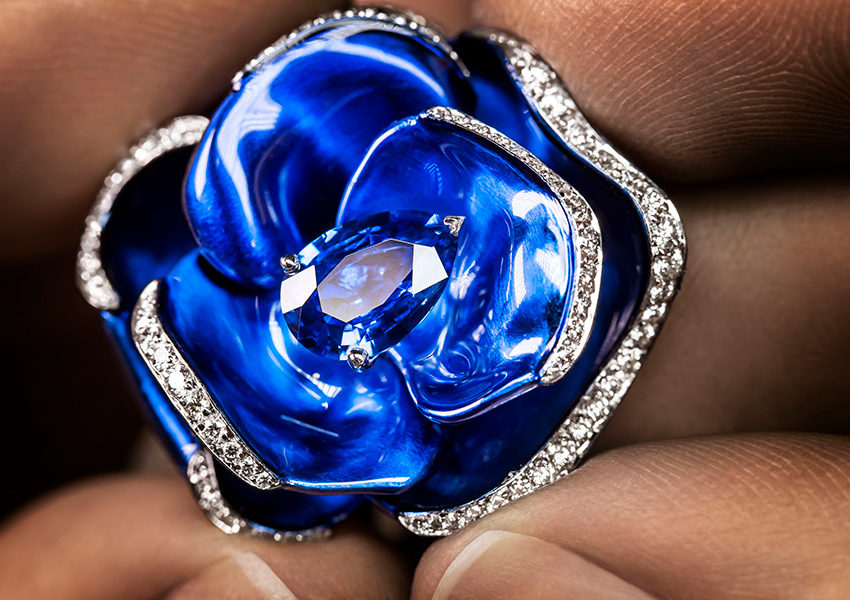 ����� � ��������: ������ Dior Rose Pop