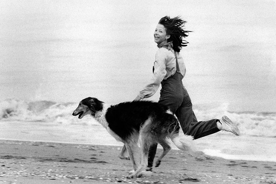 ��������� ���������� ���� ���� �����